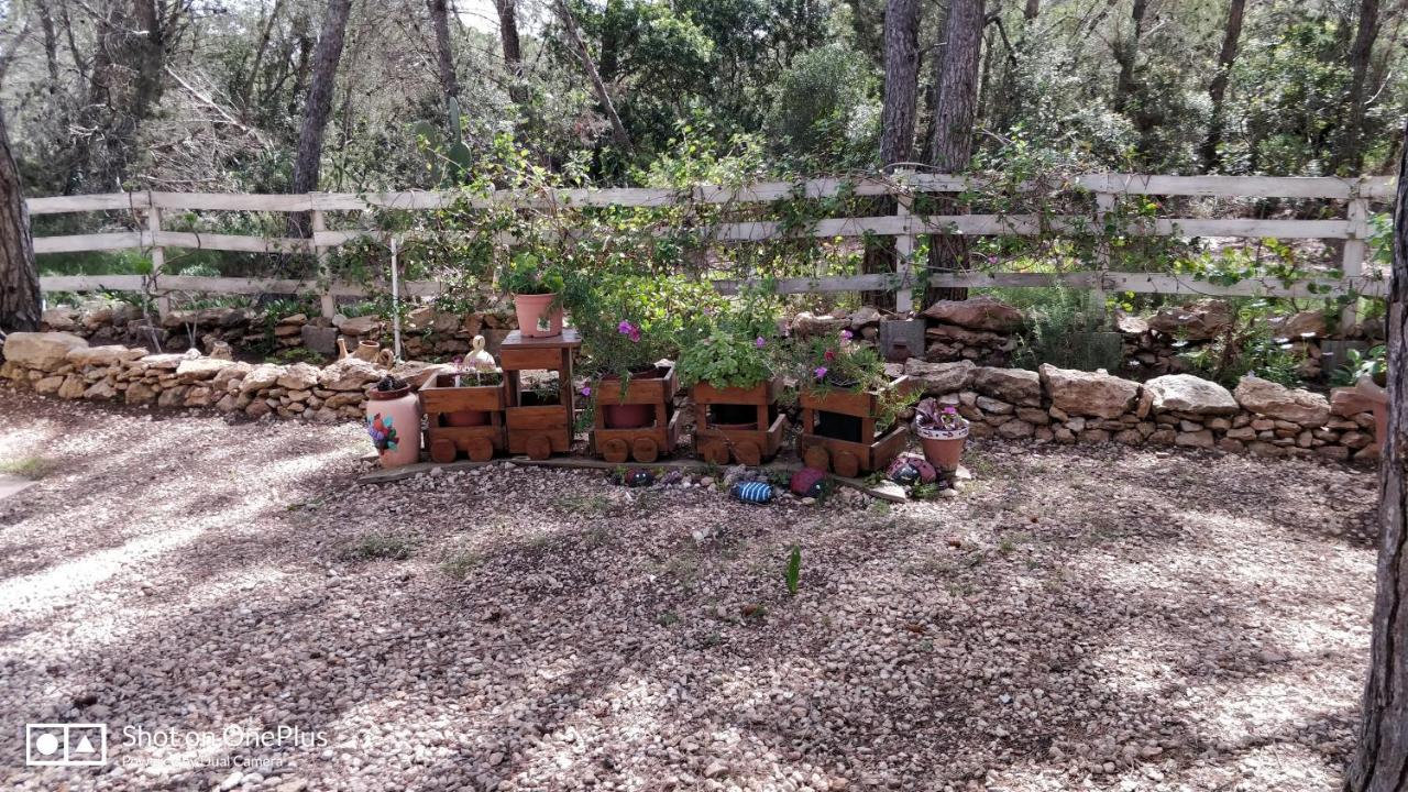 Casa Beja Βίλα San Francisco Javier Εξωτερικό φωτογραφία